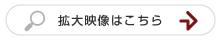 拡大映像はこちら