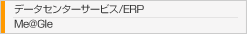 データセンターサービス/ERP　Me@Gle