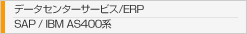 データセンターサービス/ERP SAP/IBM AS400系