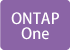 ONTAP One