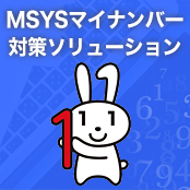 MSYSマイナンバー対策ソリューション