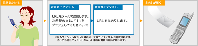 ラピナビポイント