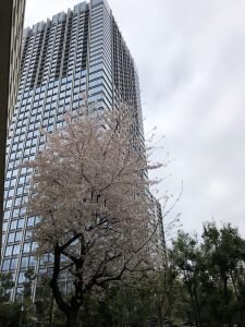 img_3D_20230404_02.jpgのサムネイル画像