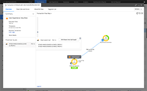 Overview-Transaction Flow Map画面