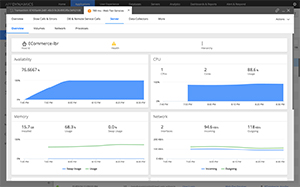 Server-Overview画面