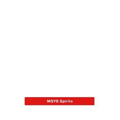 MSYS Spirits
