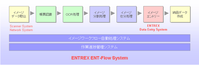 ENT-Flowシステムの概要