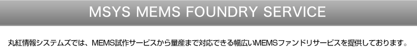 丸紅情報システムズでは、MEMS試作サービスから量産まで対応できる幅広いMEMSファンドリサービスを提供しております。