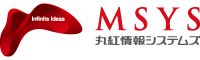 MSYS logo