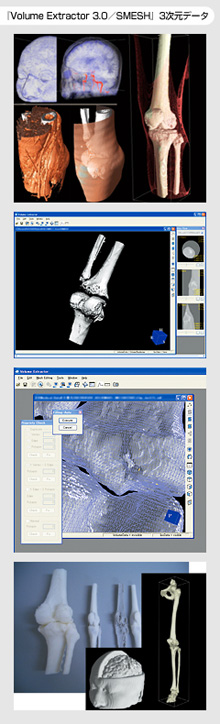 「Volume Extractor3.0/SMESH」3次元データ
