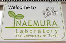 Welcome to NAEMURA Laboratory