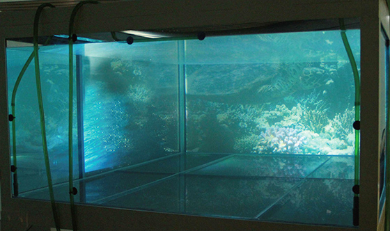 Aqua CAVE