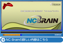 NC Brain