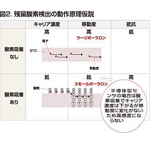 残留酸素検出の動作原理仮説