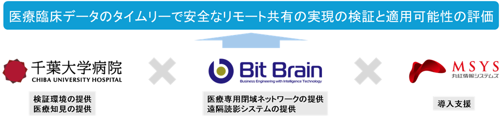 img_info_20250207_01.png