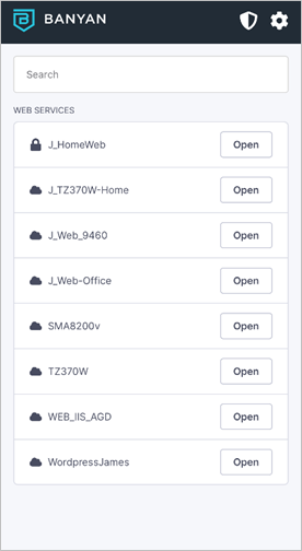 ウェブサイト向けZTNA