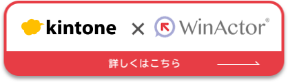 salesforce × Kintone